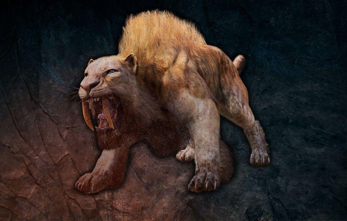 1332x850 Wallpaper Beast, Saber Toothed Tiger, Beast, Smilodon, Far Cry Primal Image For Desktop, Section игры