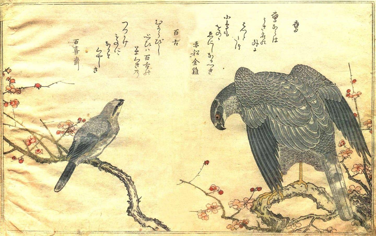 1440x903 Download Wallpaper, Download 2560x1600 paintings birds japanese