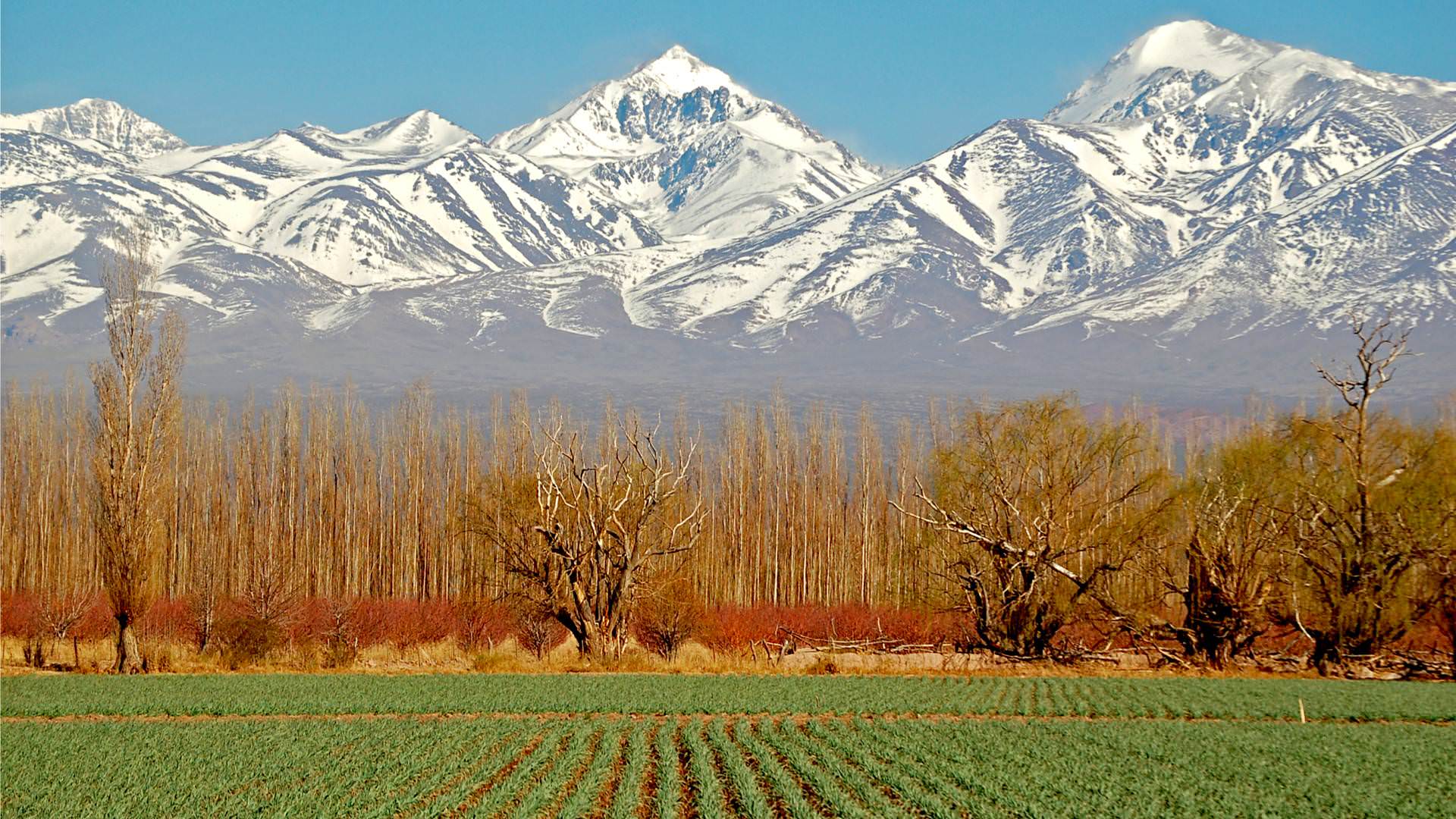 1920x1080 Mendoza Wallpaper