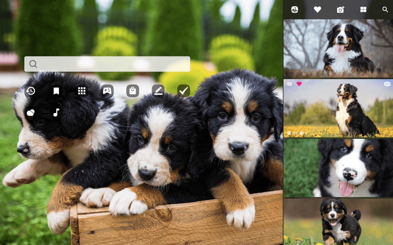 1280x800 My Bernese Mountain Dog HD New Tab