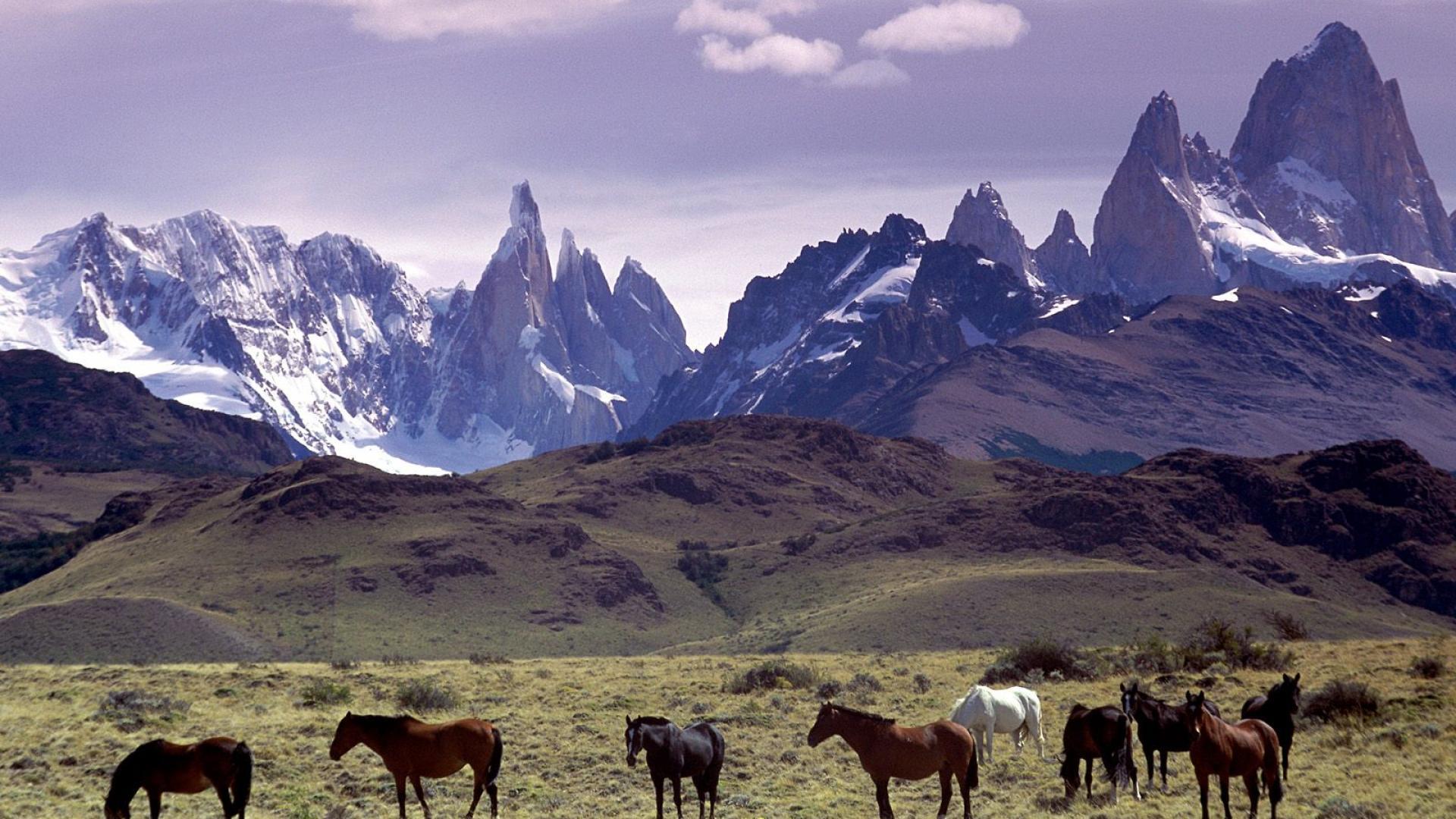 1920x1080 Monte Fitz Roy HD Wallpaper
