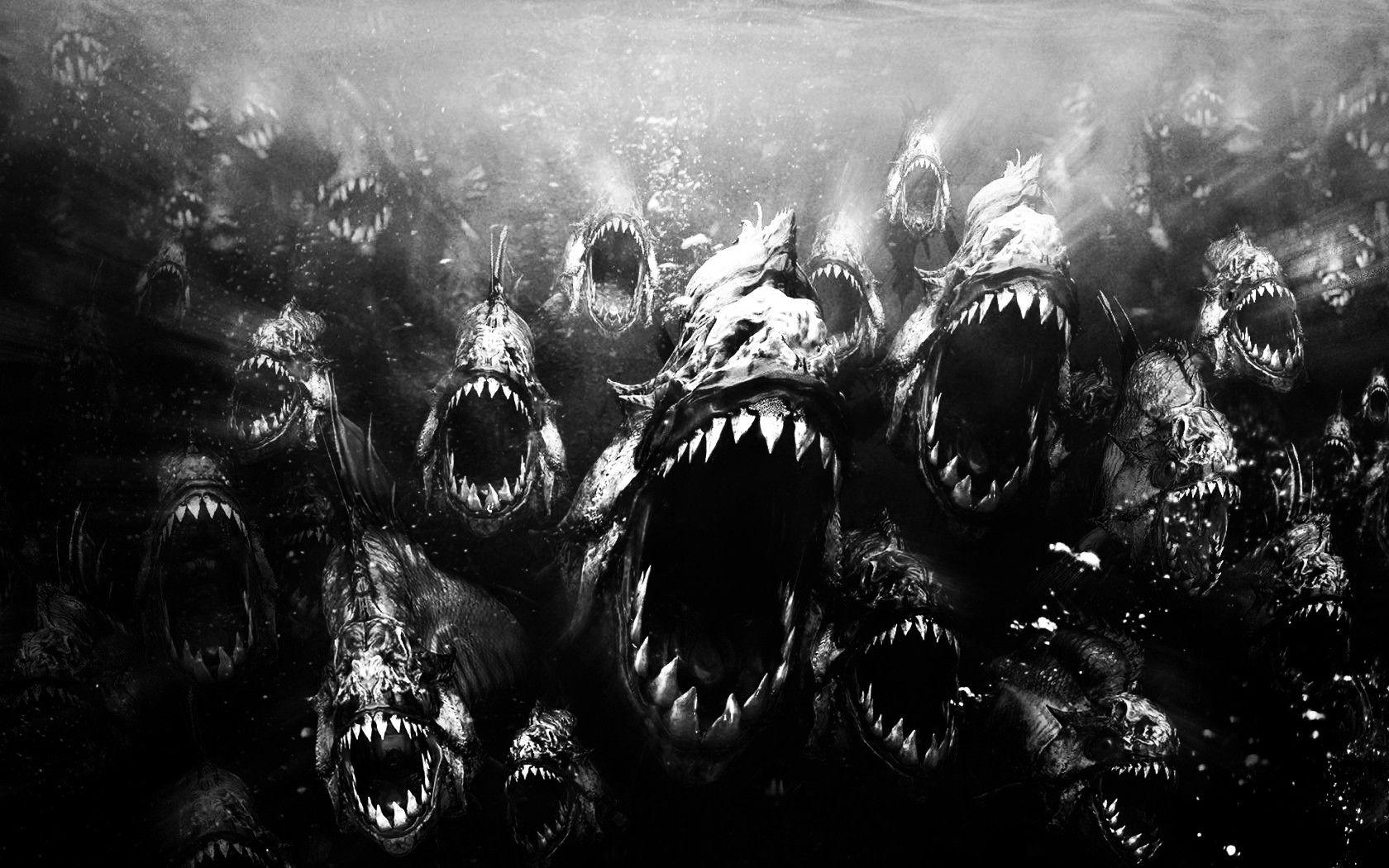 1680x1050 Cá Răng Kinh Dị Kinh Dị Piranha Nước Cá Bóng Tối Full HD Hình Nền Động Vật - Horrorphilia