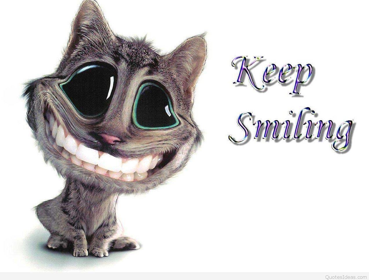 1274x967 Best funny mobile quotes with image & wallpaper hd
