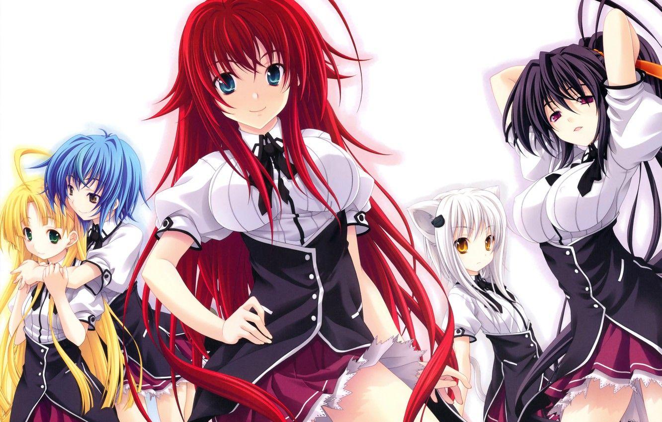 1332x850 Wallpaper look, smile, anime, tail, school uniform, ears, anime, always koneko, asia argento, himejima ake'no, highschool dxd, demons high school, demoness, zenovia, rias gremory image for desktop, section сёдзё