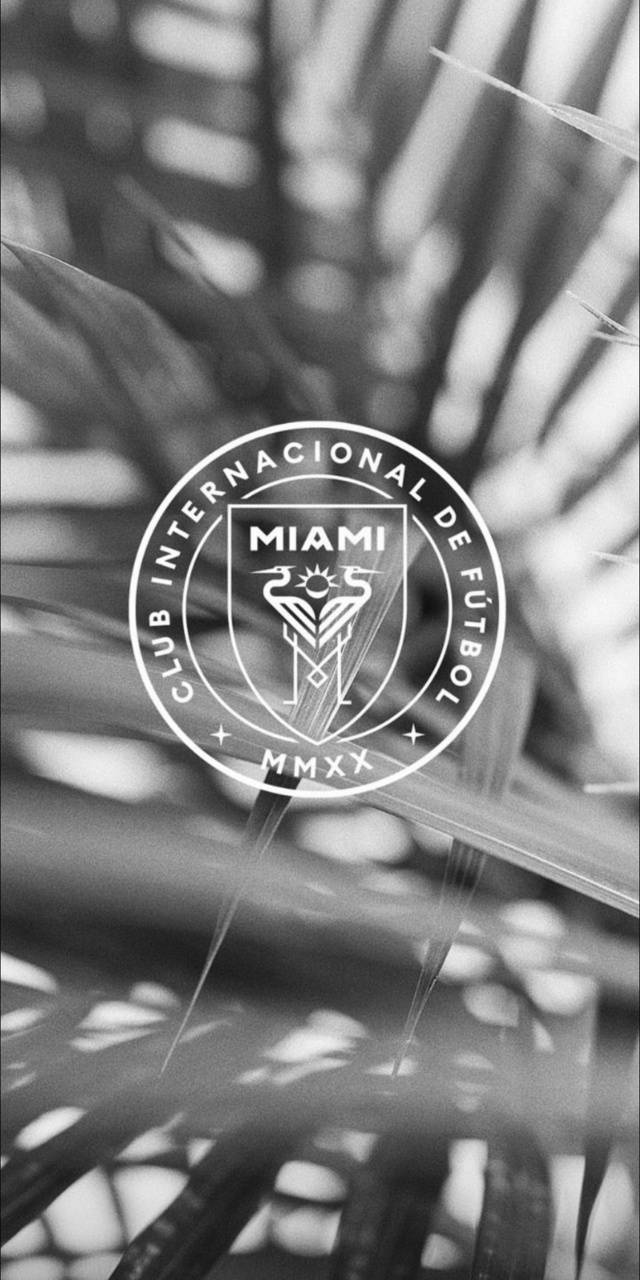 Inter Miami CF Wallpapers - Top Free Inter Miami CF Backgrounds