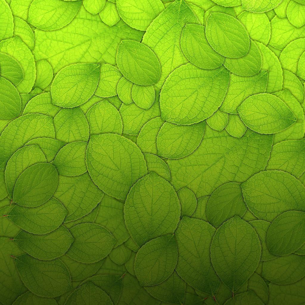 Details 100 leaf texture background - Abzlocal.mx