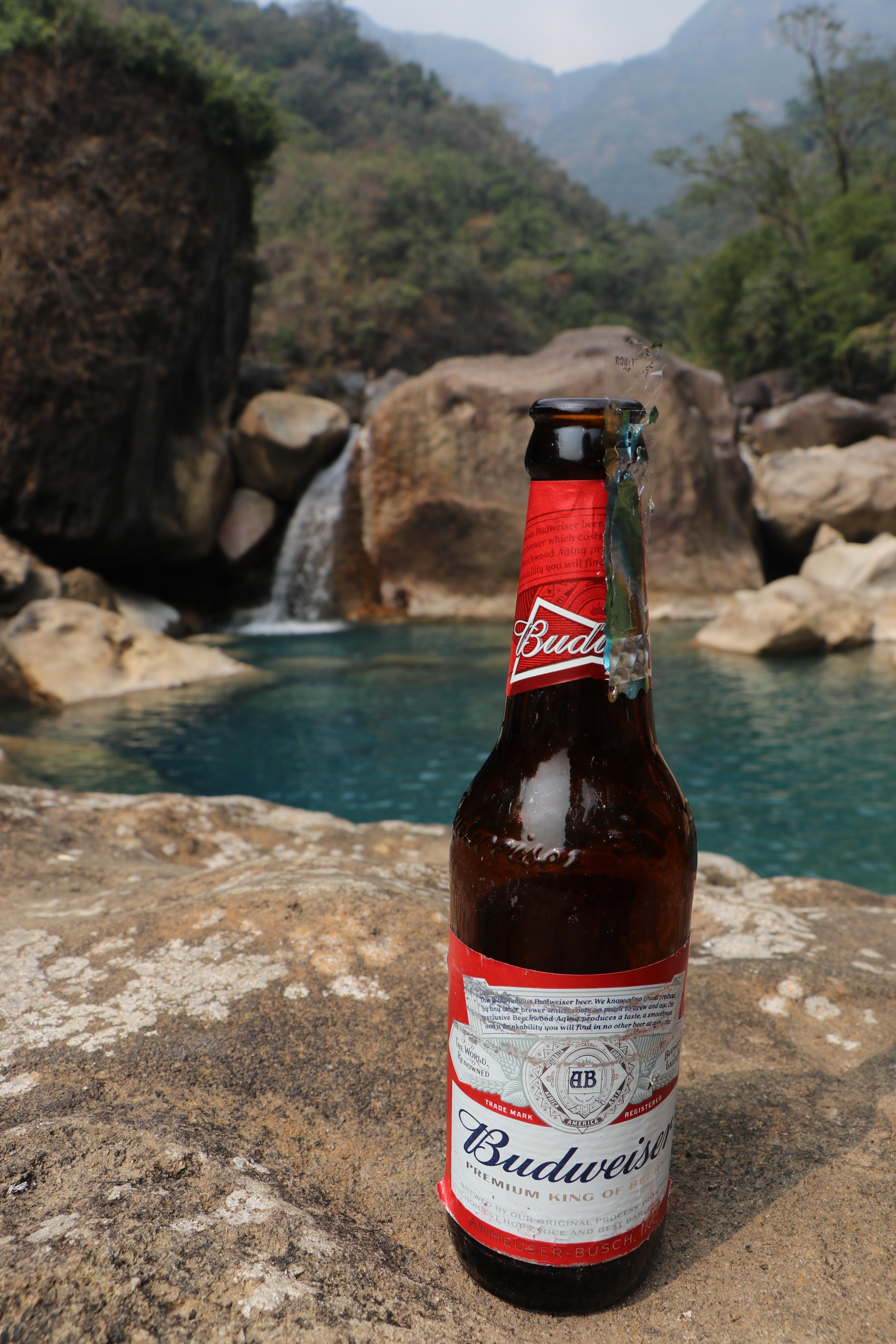 4000x6000 Budweiser and Natural Swimming Pool are perfect Combo. Beer photo, Beer wallpaper, Oktoberfest beer