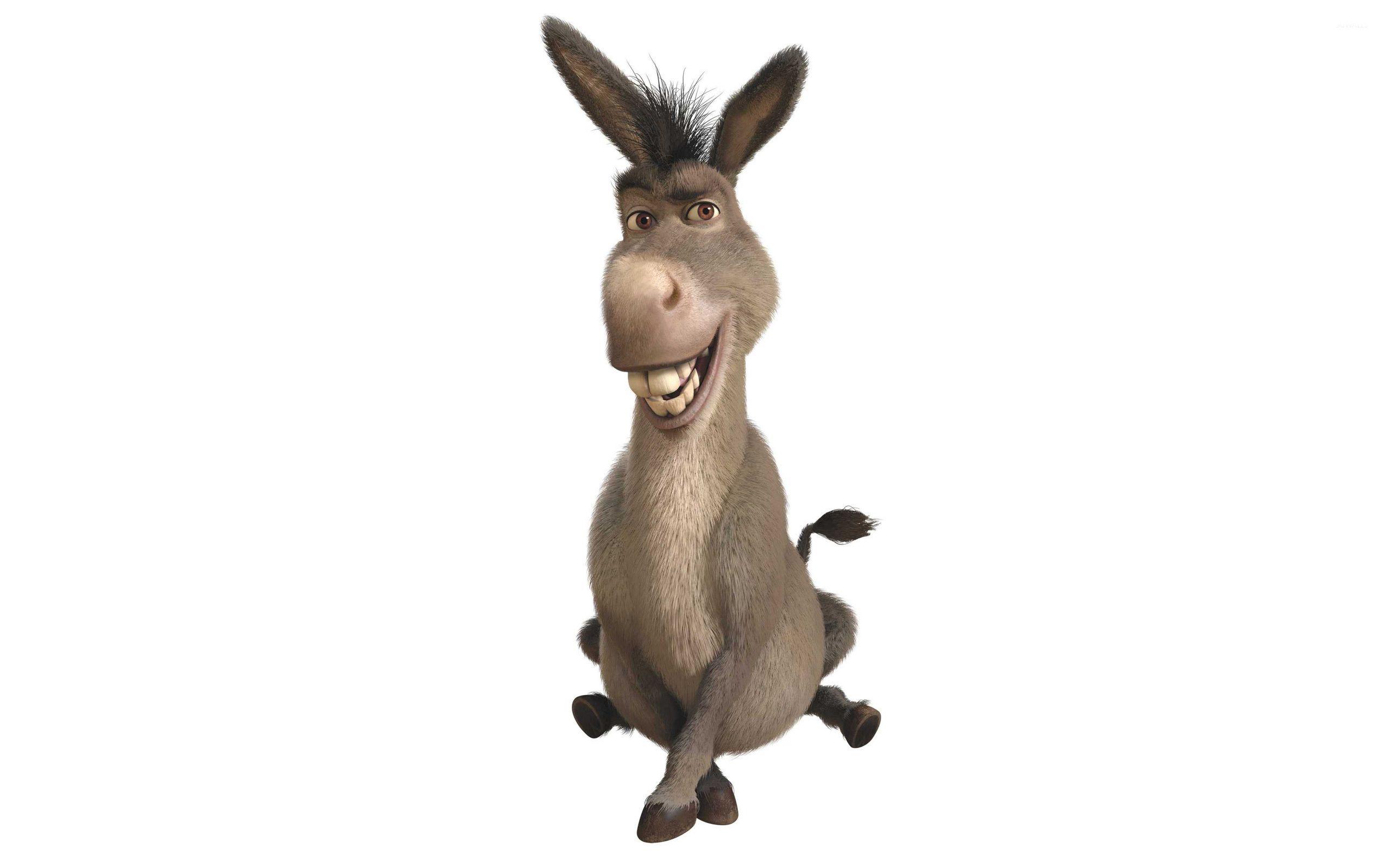 Shrek and Donkey Wallpapers - Top Free Shrek and Donkey Backgrounds -  WallpaperAccess