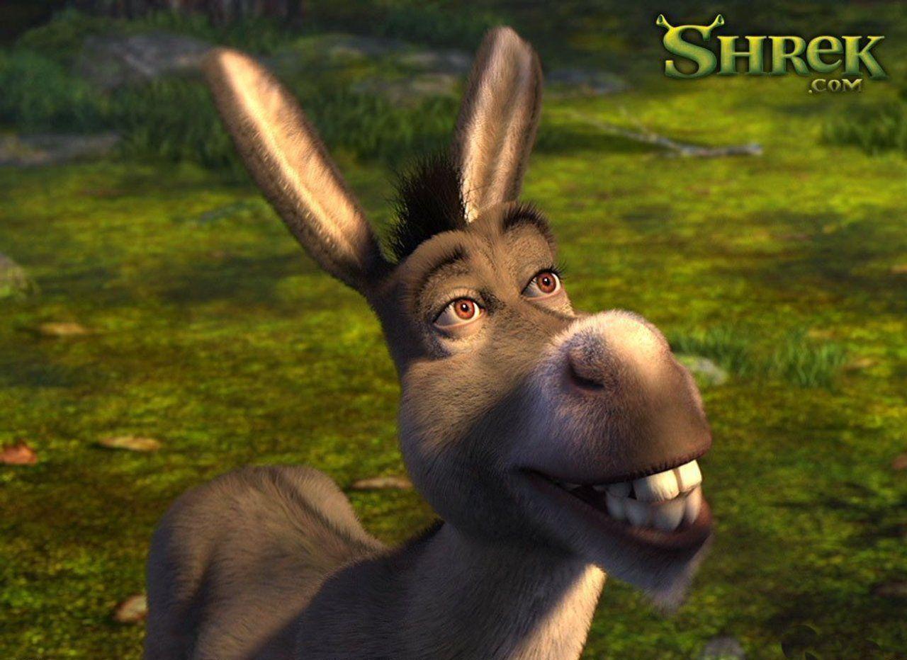 Shrek and Donkey Wallpapers - Top Free Shrek and Donkey Backgrounds -  WallpaperAccess