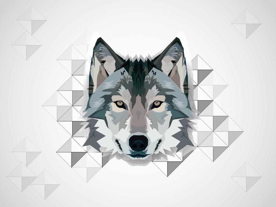 Geometric Wolf 4K Wallpapers Top Free Geometric Wolf 4K Backgrounds