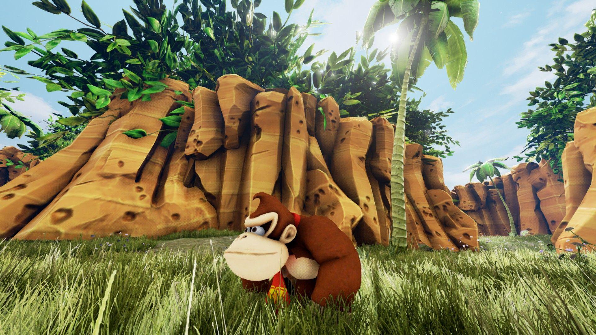 Donkey Kong 64 Wallpapers Top Free Donkey Kong 64 Backgrounds