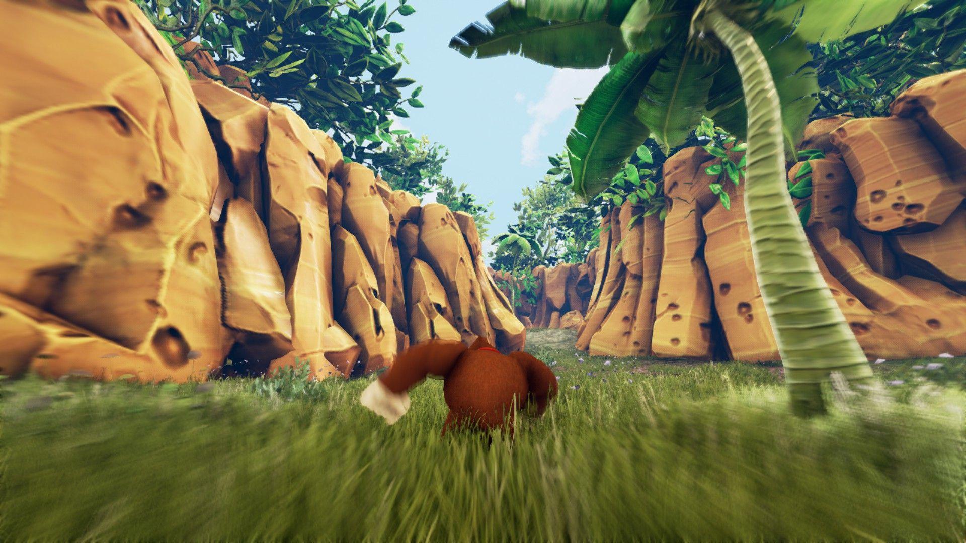 Donkey Kong 64 Wallpapers Top Free Donkey Kong 64 Backgrounds