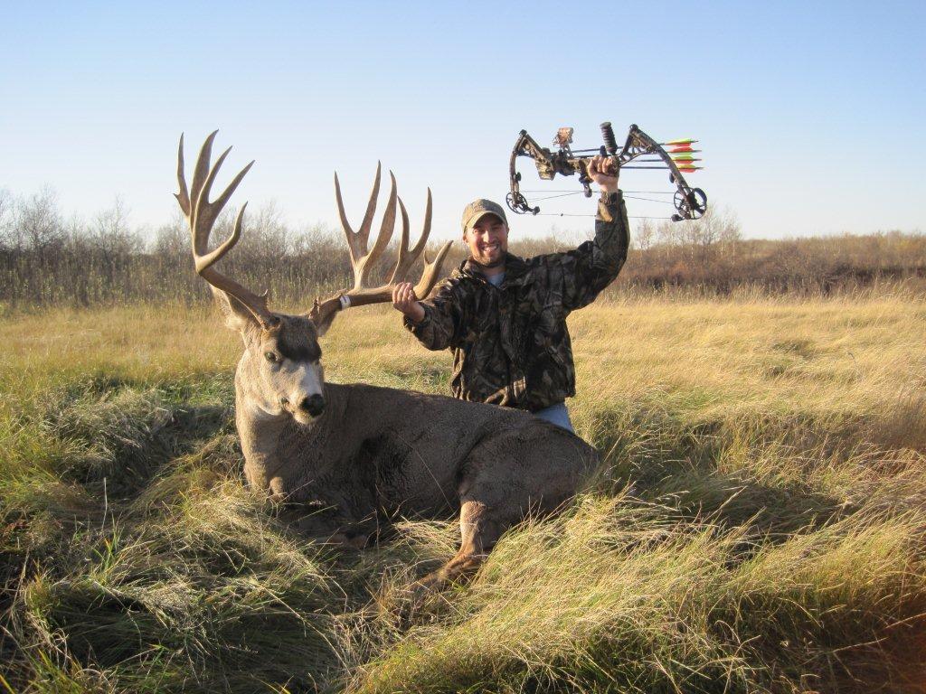 1024x768 Mule Deer. Leaders of Men