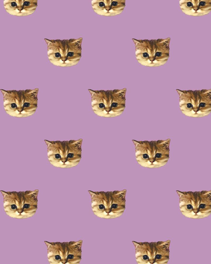 Cute Cat Pattern Wallpapers - Top Free Cute Cat Pattern Backgrounds