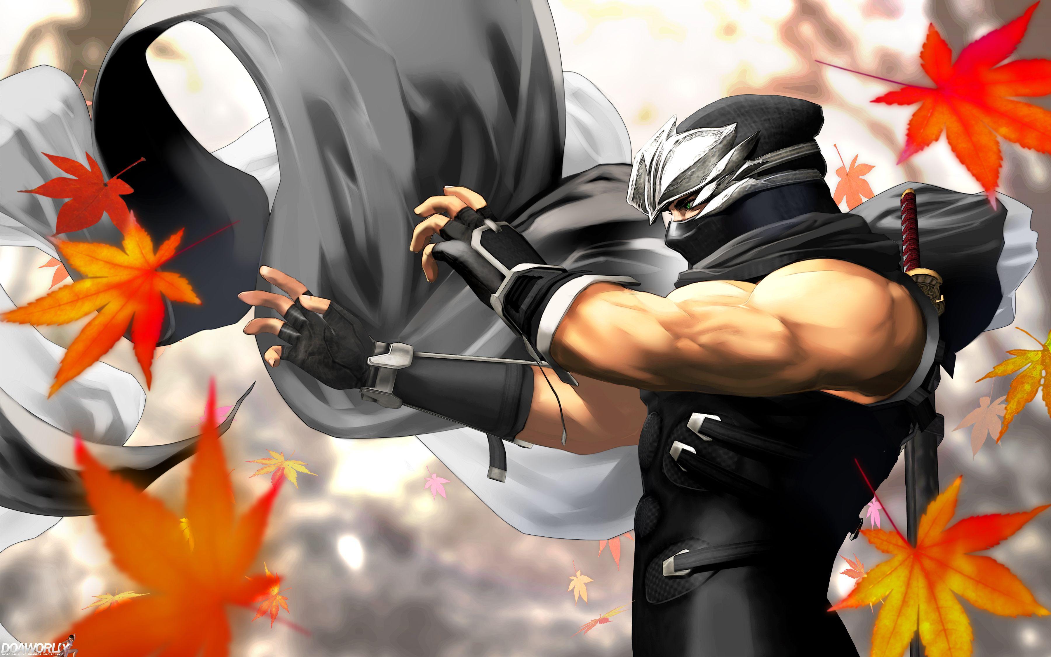 Ryu Hayabusa Wallpapers Top Free Ryu Hayabusa Backgrounds Wallpaperaccess 8542