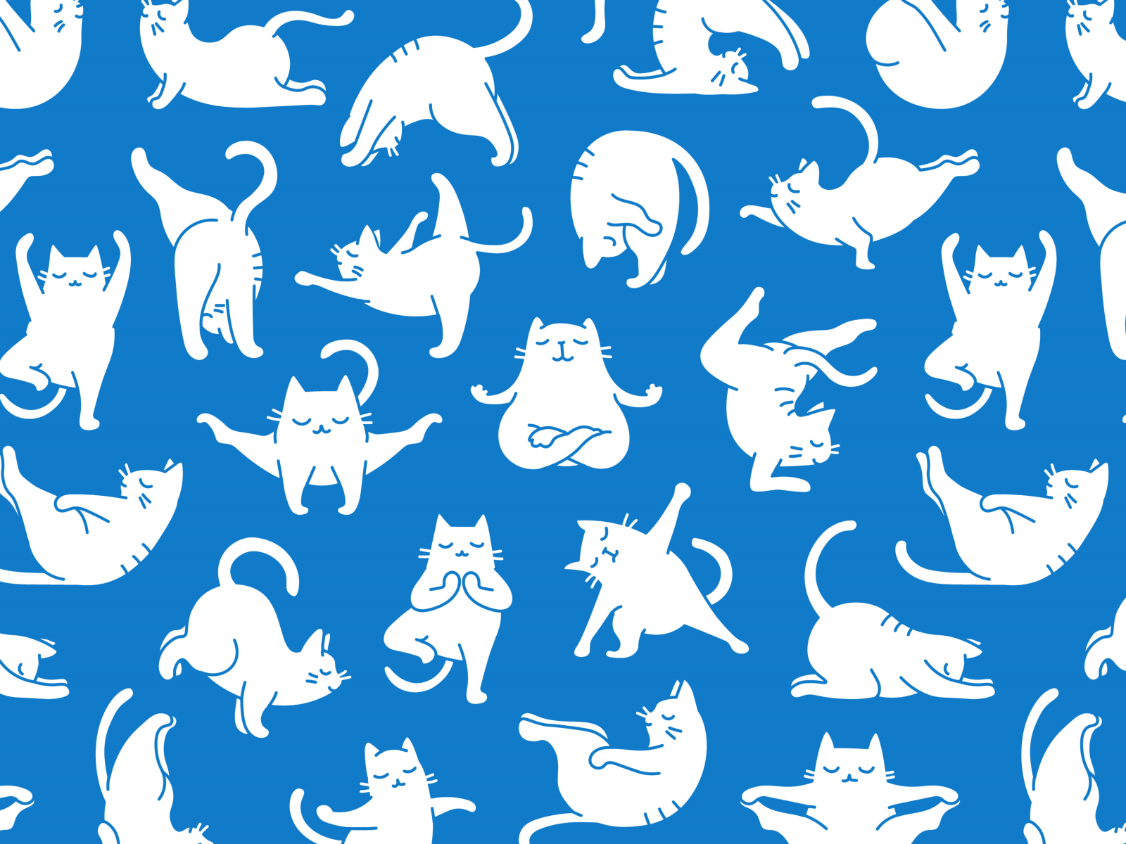 1600x1200 Yoga Cat Pattern. Cat yoga, Cat pattern wallpaper, Cat pattern