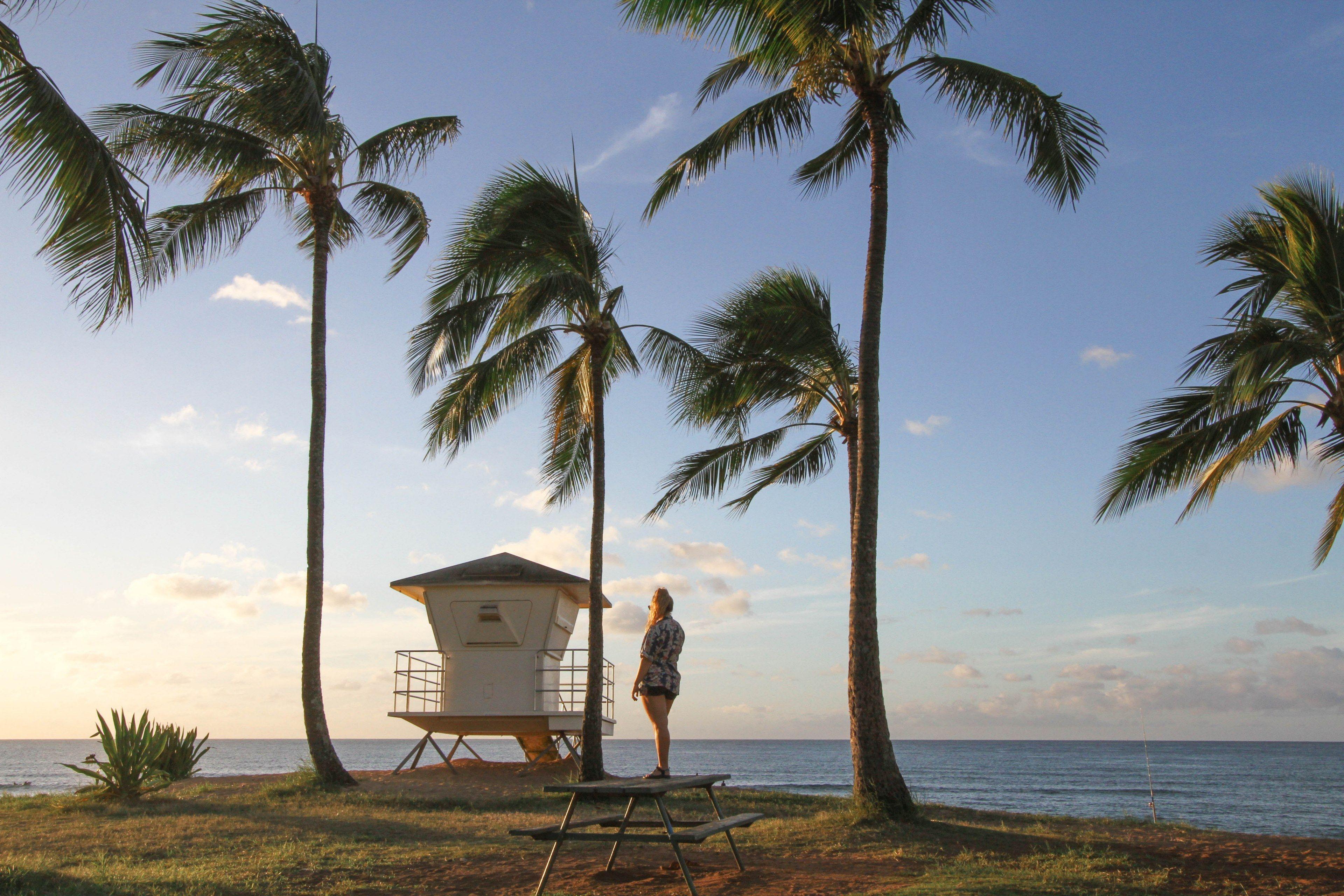 3840x2560 Wallpaper / beautiful beachfront shot in hawaii, _hawaii beach 4k wallpaper