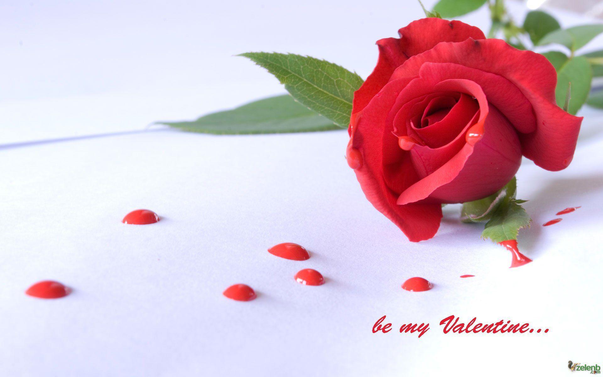 Valentine's Day Roses Wallpapers - Top Free Valentine's Day Roses  Backgrounds - WallpaperAccess