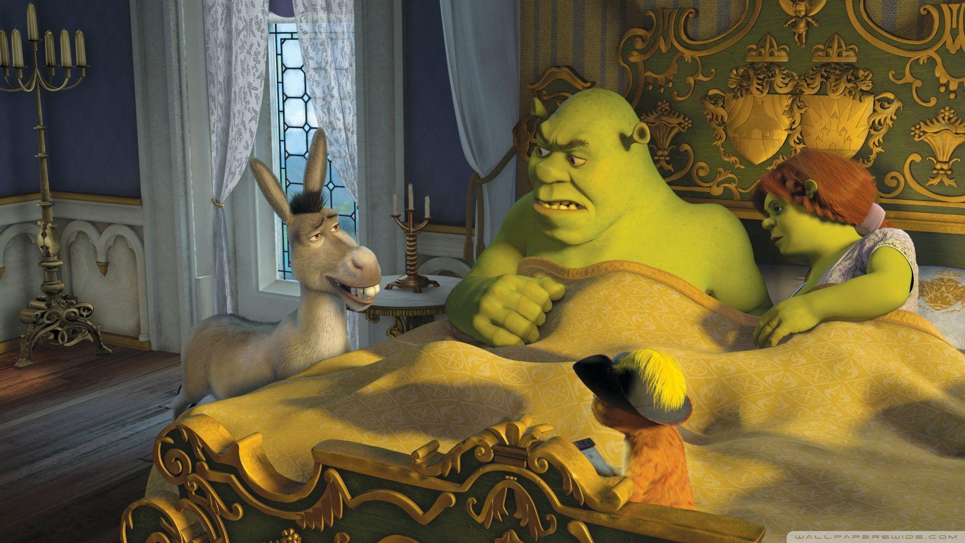 1920x1080 Download Donkey Puss In Boots Shrek And Princess Fiona Wallpaper 1920x1080