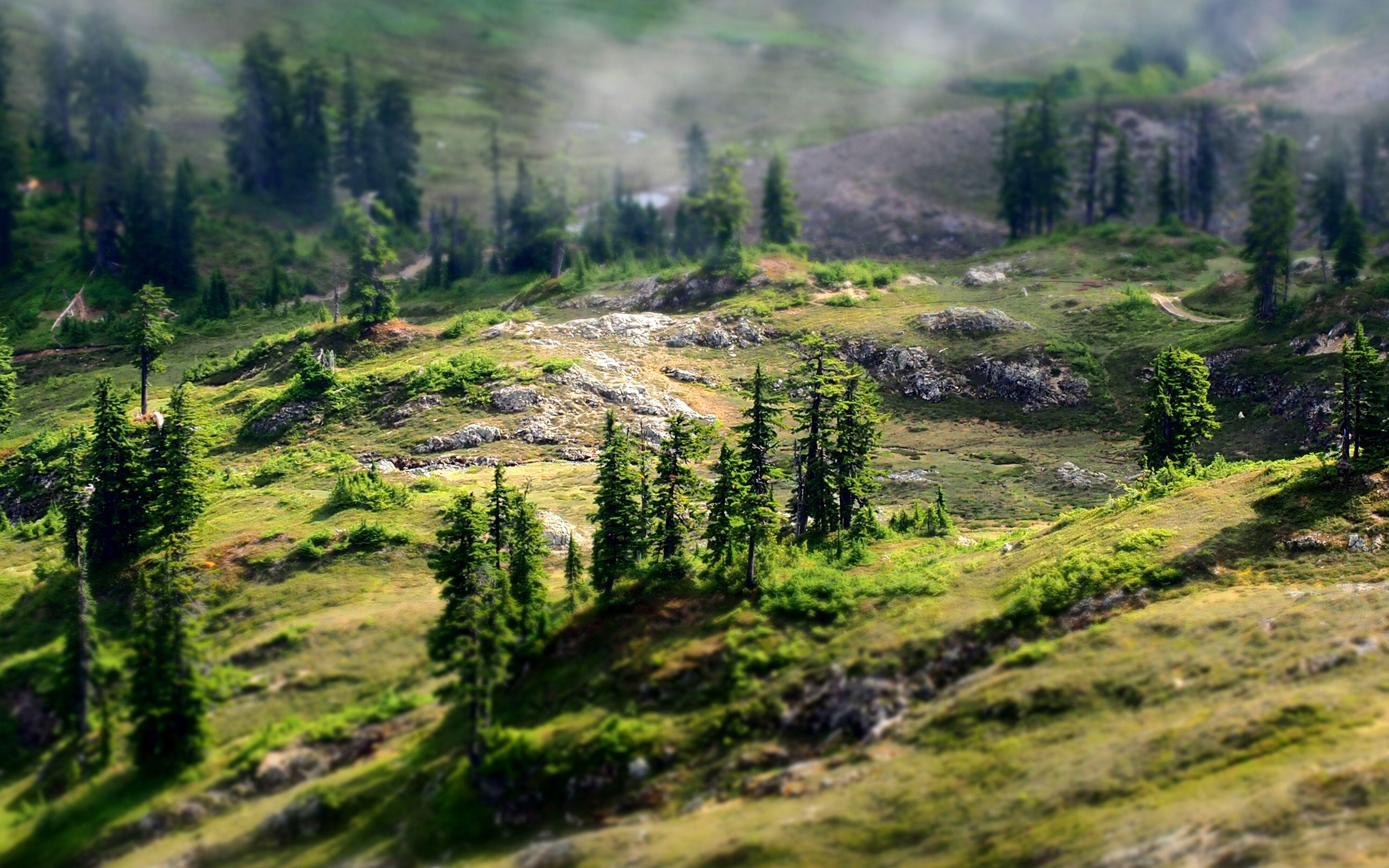 3840x2400 Mountain Country Spring Forest Nature Wallpaper