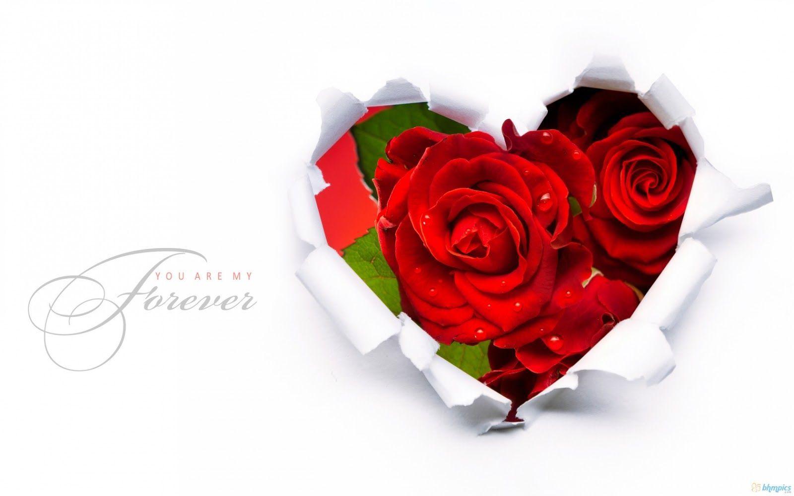 1600x1000 Valentine Day Roses Wallpaper HD Wallpaper
