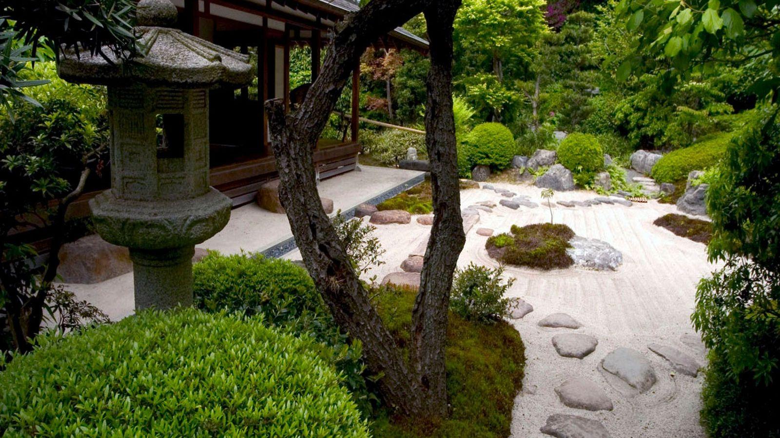 1600x900 Free download zen garden wallpaper muzic world desktop wallpaper bonsai zen tree [1600x1200] for your Desktop, Mobile & Tablet. Explore Japanese Zen Garden Wallpaper. Zen Garden Desktop Wallpaper, Zen Phone Wallpaper