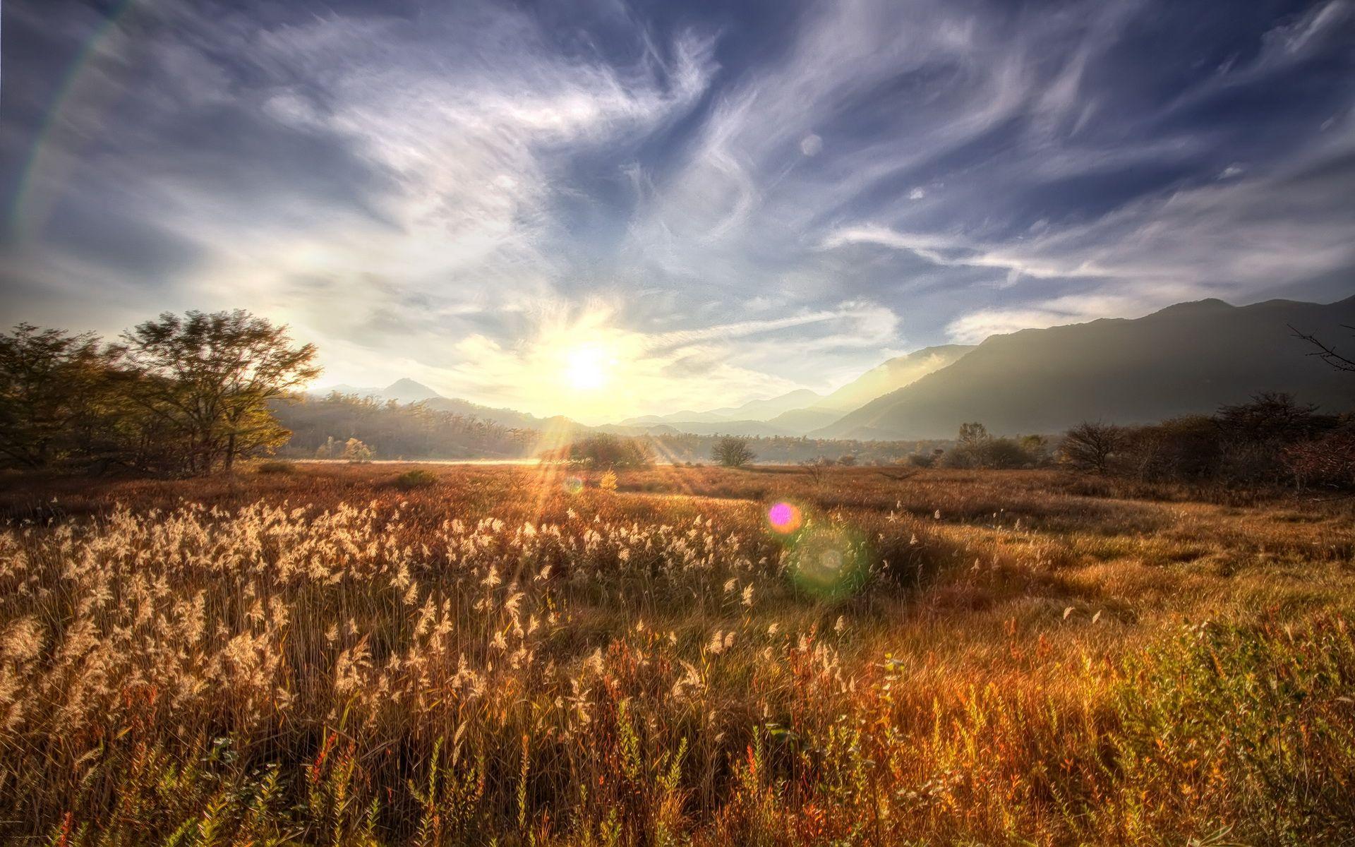1920x1200 Amazing Sunbeam Wallpaper