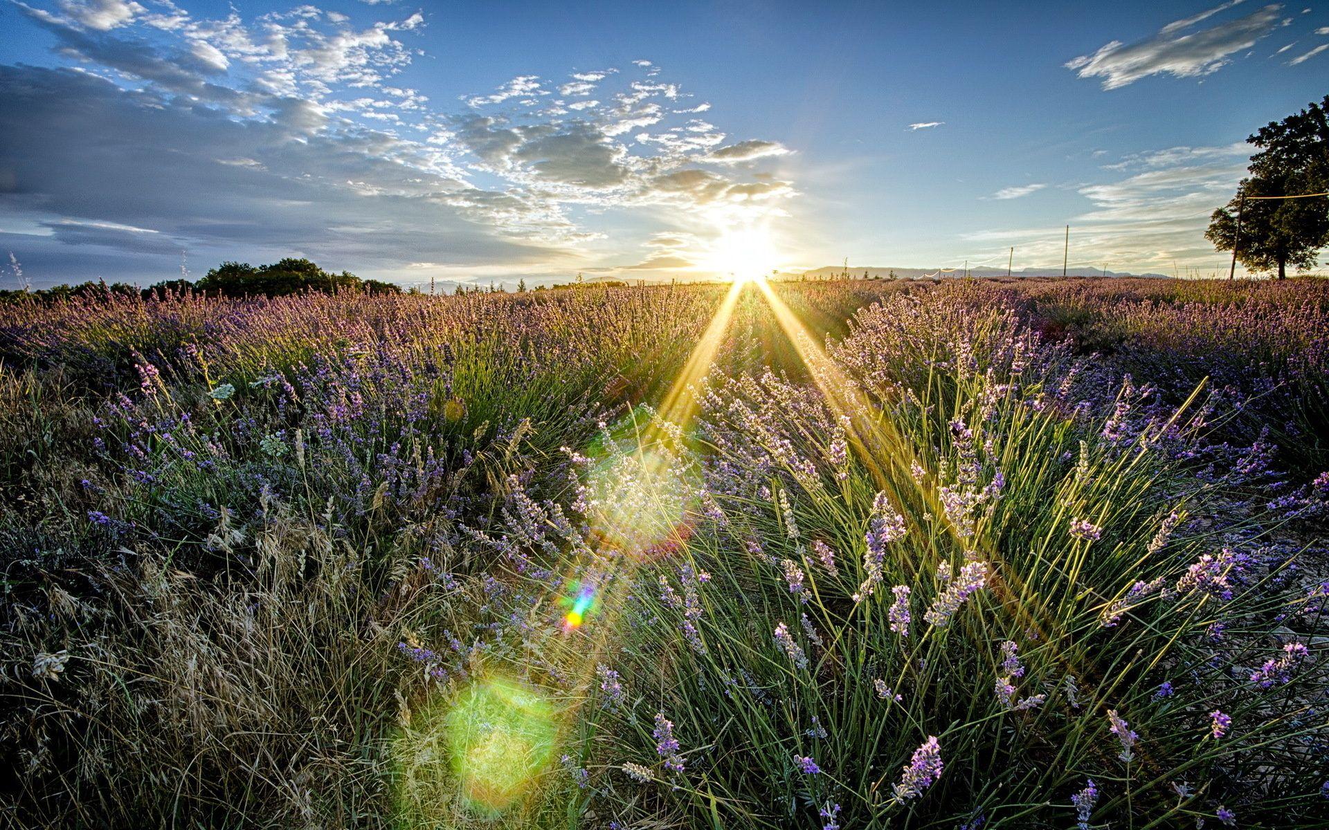 1920x1200 Wonderful HD Sunbeam Wallpaper