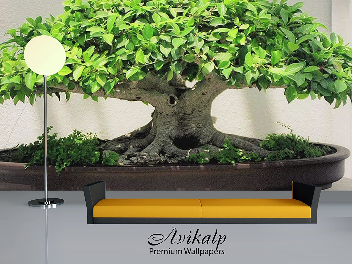 1500x1125 Buy Avikalp Exclusive Awi3294 Bonsai Tree Full HD Wallpaper (4 x 3 ft) Online at Low Prices in India