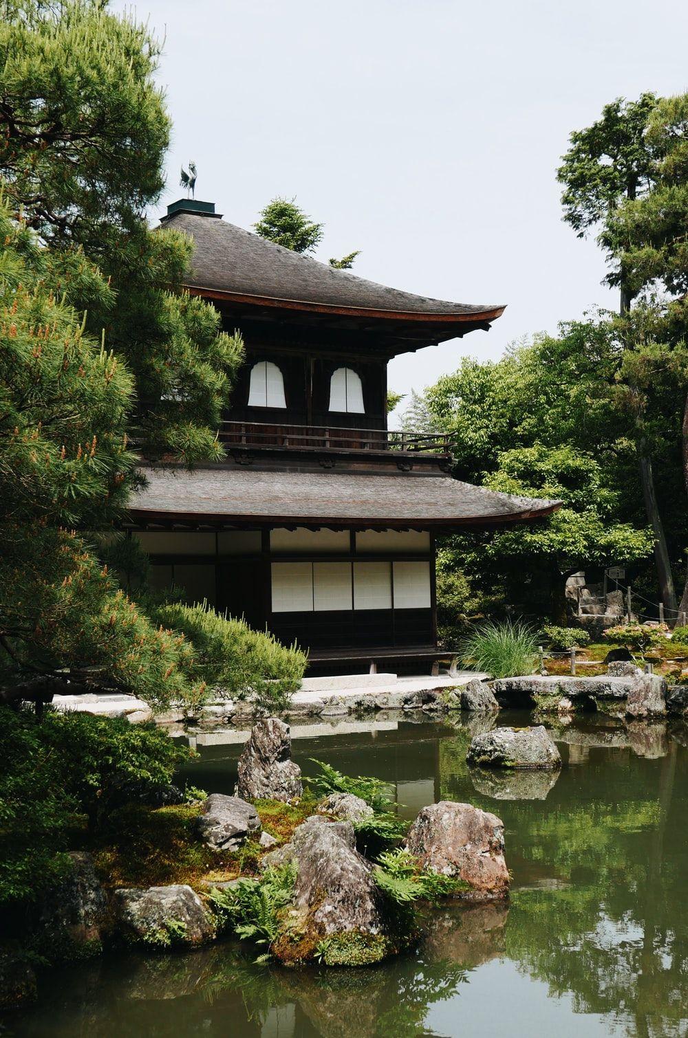 1000x1510 Bonsai Tree Japanese Garden Picture. Download Free Image