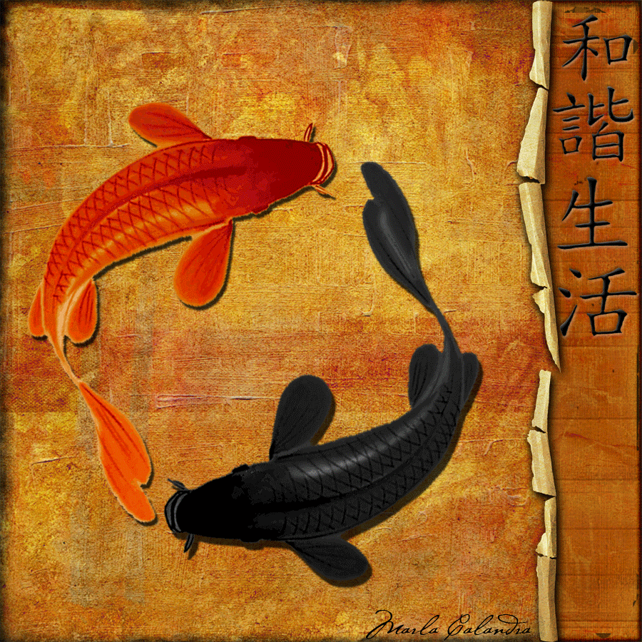 900x900 