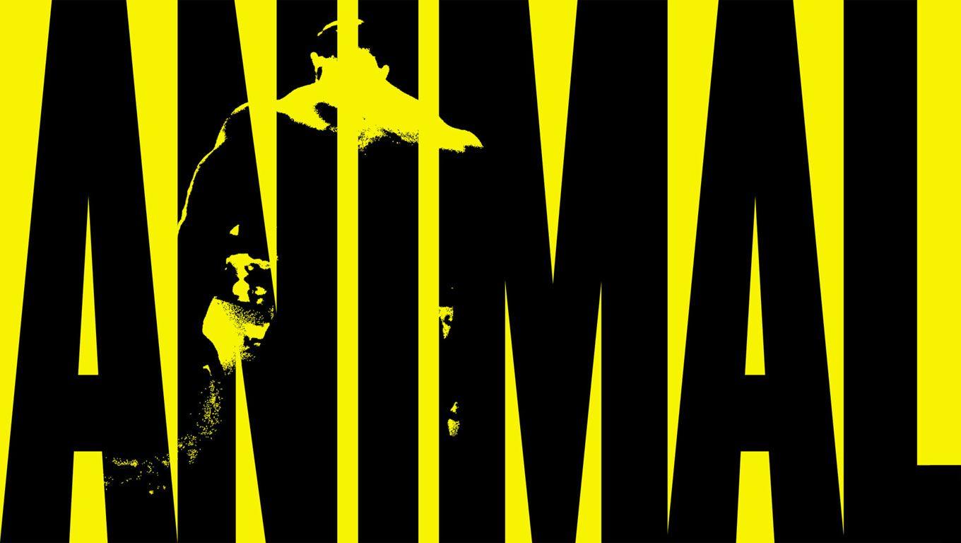 1360x768 Animal Pak Wallpaper