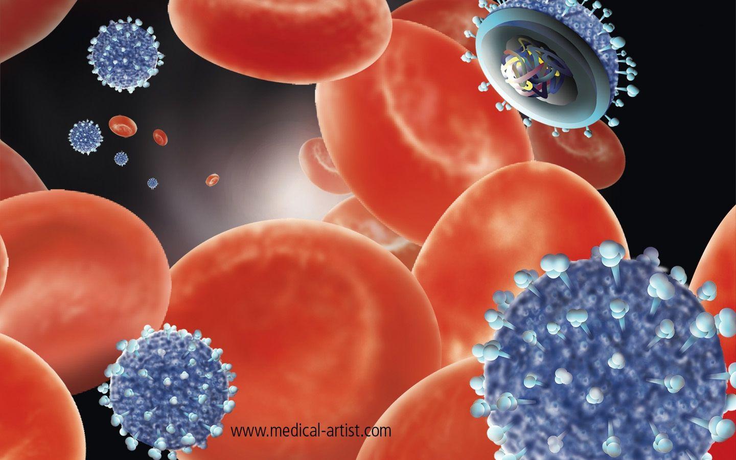 1440x900 Free download PC and iPhone Wallpaper Medical Illustration Wallpaper [1440x900] for your Desktop, Mobile & Tablet. Explore Free Medical Wallpaper Background. Medical Doctor Wallpaper, Medical Wallpaper, Medical Wallpaper Free