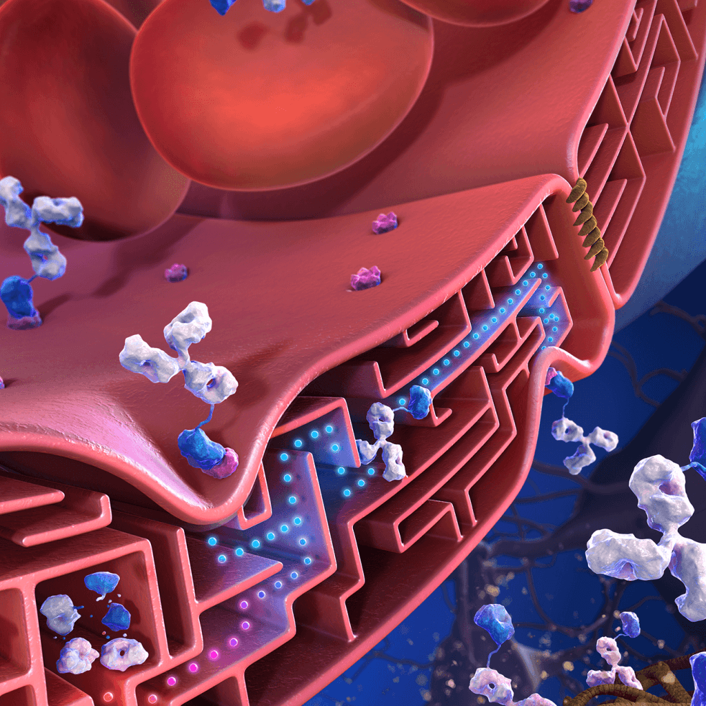 1024x1024 Scientific Illustration, Medical Illustration