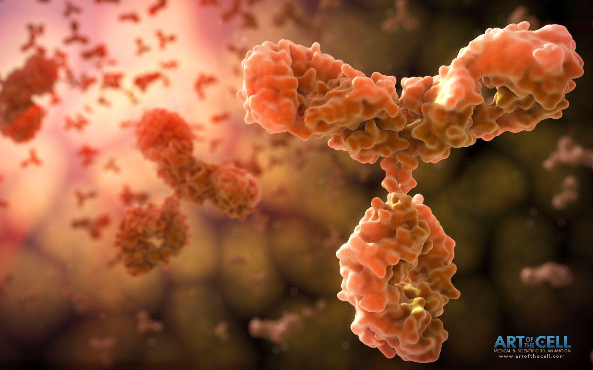 1920x1200 Scientific Illustration of Antibody. Art of the Cell