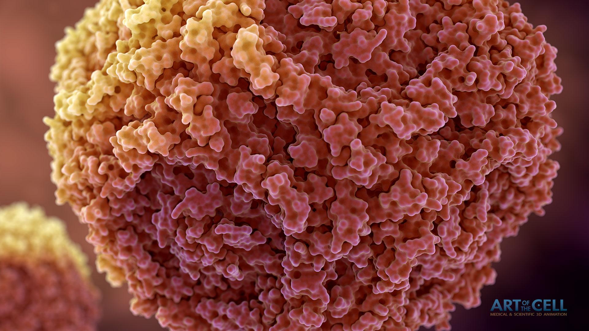 1920x1080 Medical Animation Wallpaper & Scientific Video Animation & Illustration