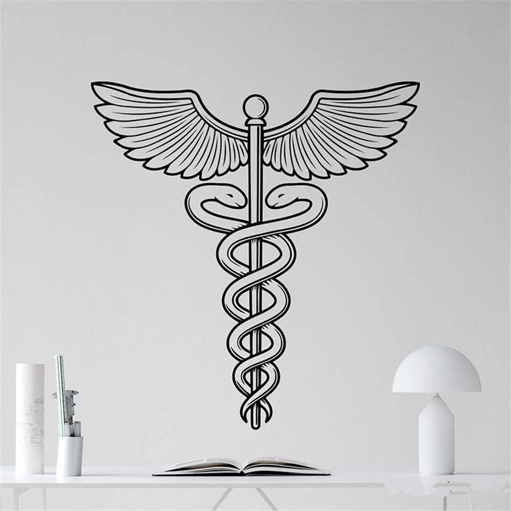 1000x1000 Vinly Art Decal Words Quotes Caduceus Winged Medicine Symbol Medical Sign Ambulance Car Emergency Home Decor: Amazon.co.uk: DIY & Tools
