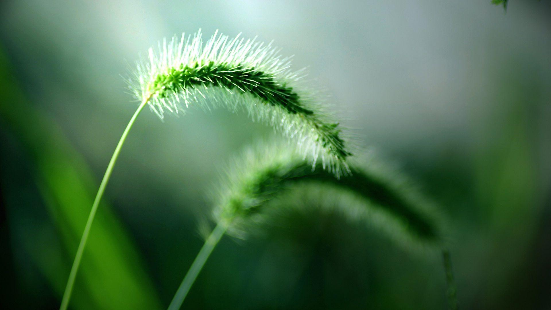 Nature Abstract Wallpapers - Top Free Nature Abstract Backgrounds