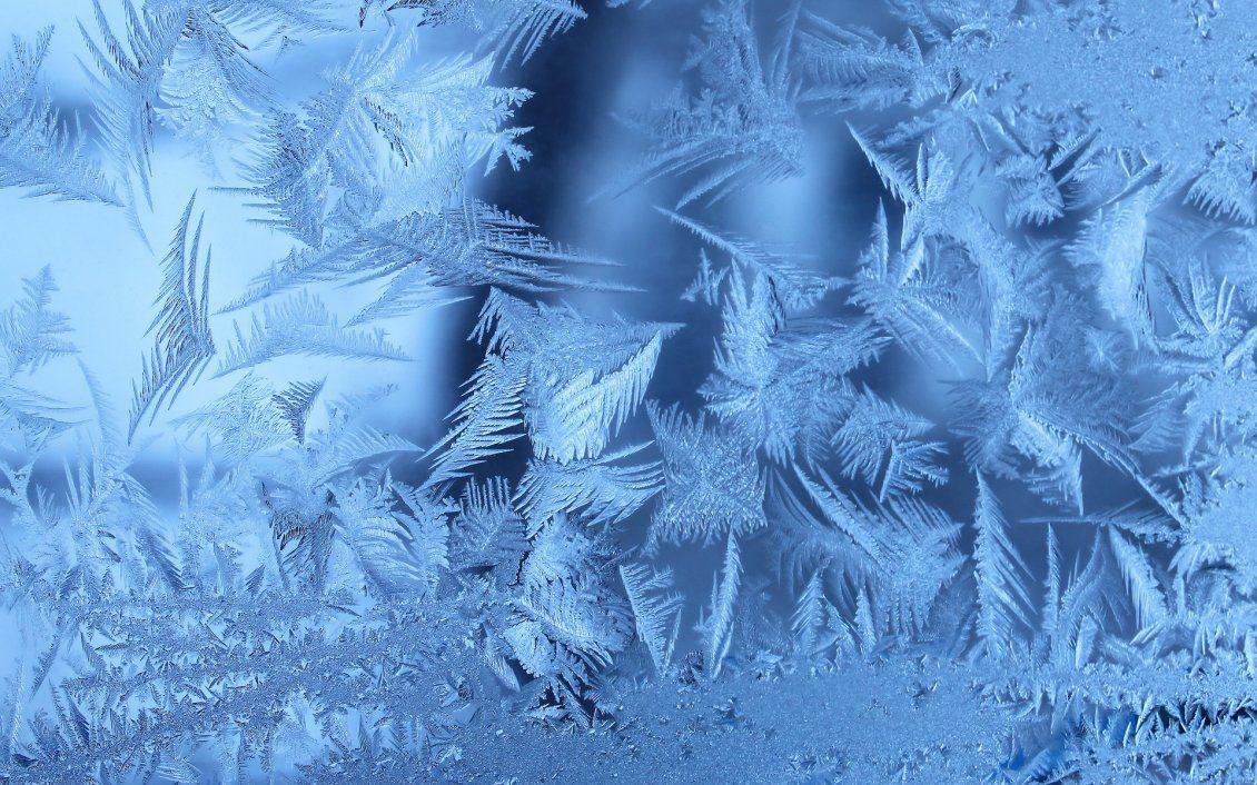 1130x706 Frozen winter leaves
