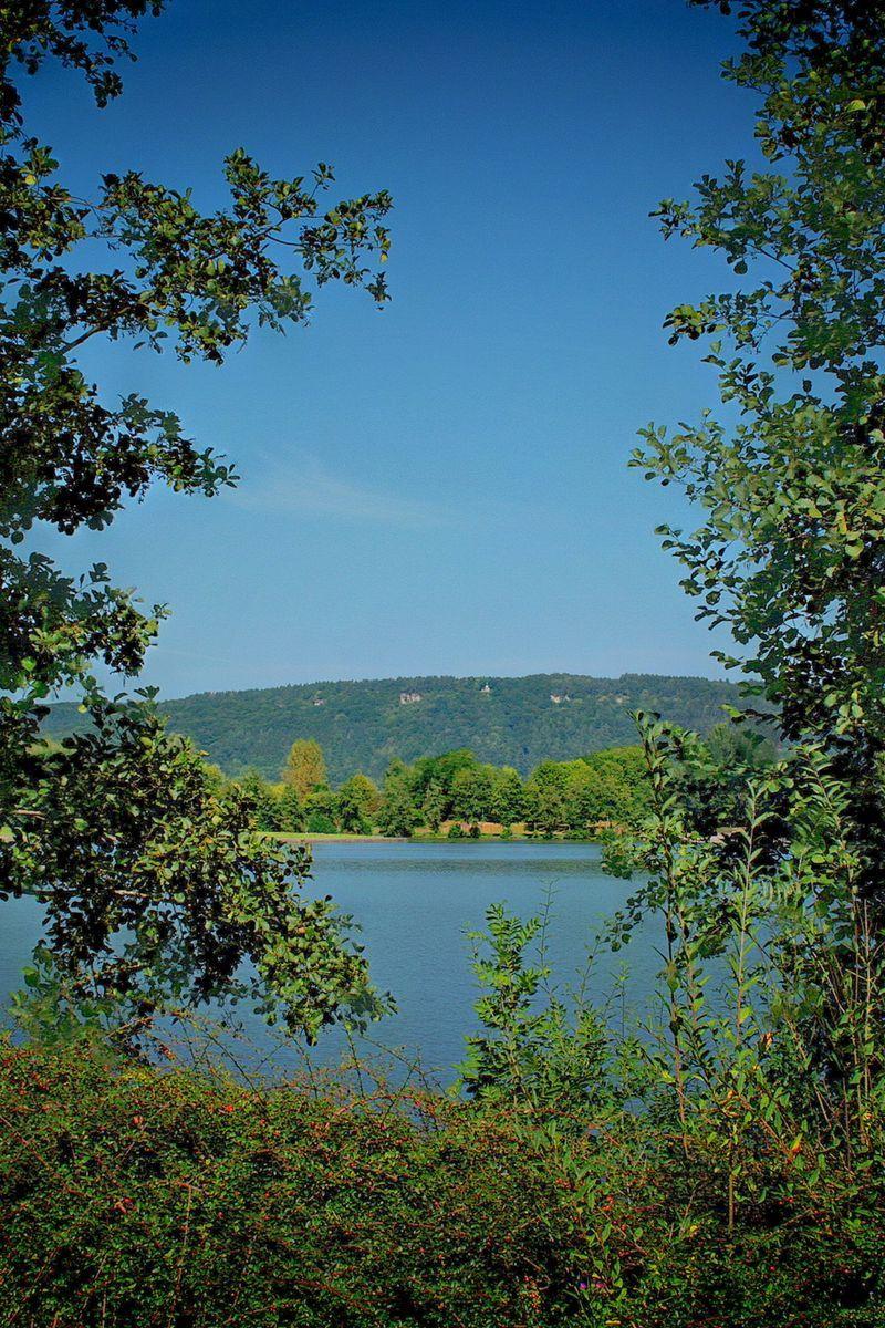 800x1200 Download Wallpaper 800x1200 Summer, Leaves, Trees, Nature Iphone 4s 4 For Parallax HD Background