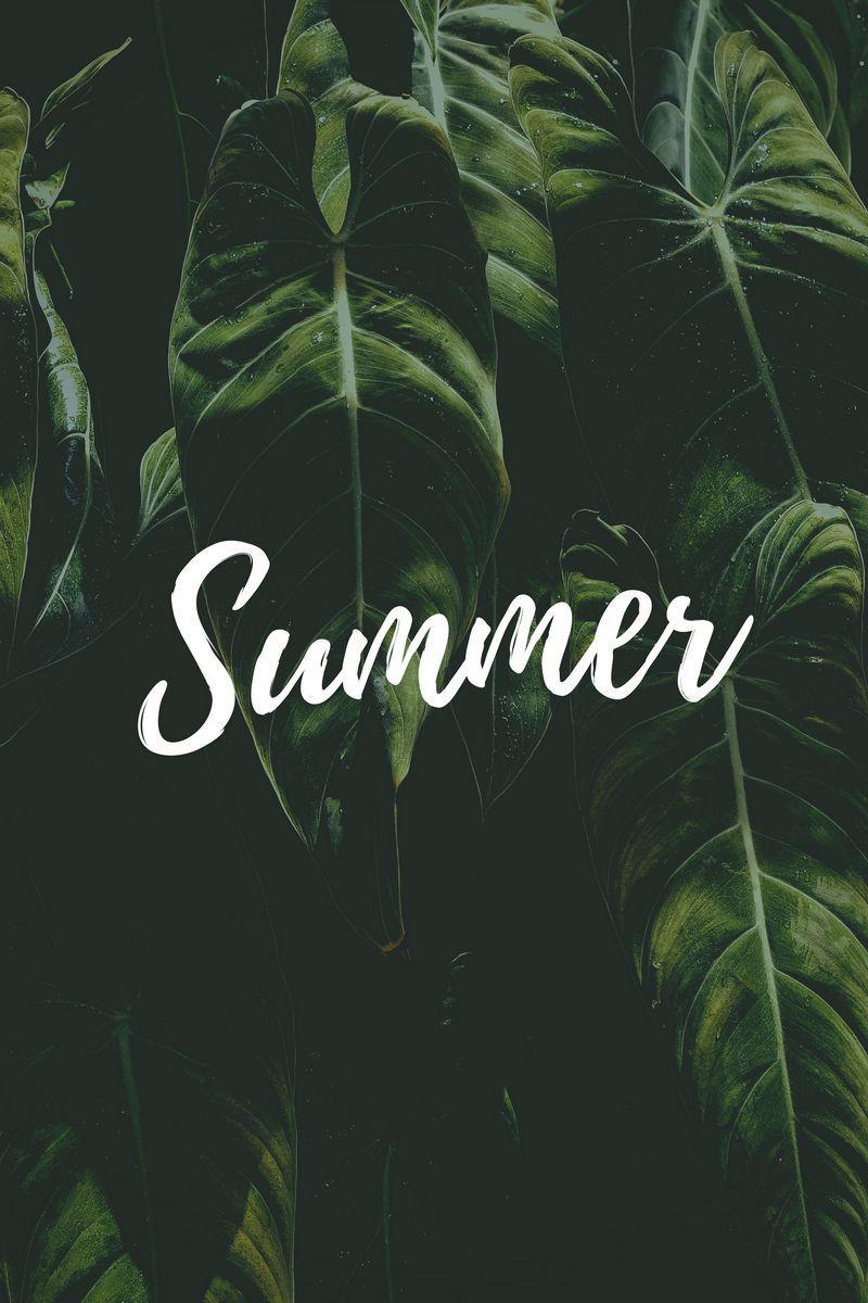 800x1200 Download Wallpaper 800x1200 Summer, Word, Inscription, Text, Leaves Iphone 4s 4 For Parallax HD Background