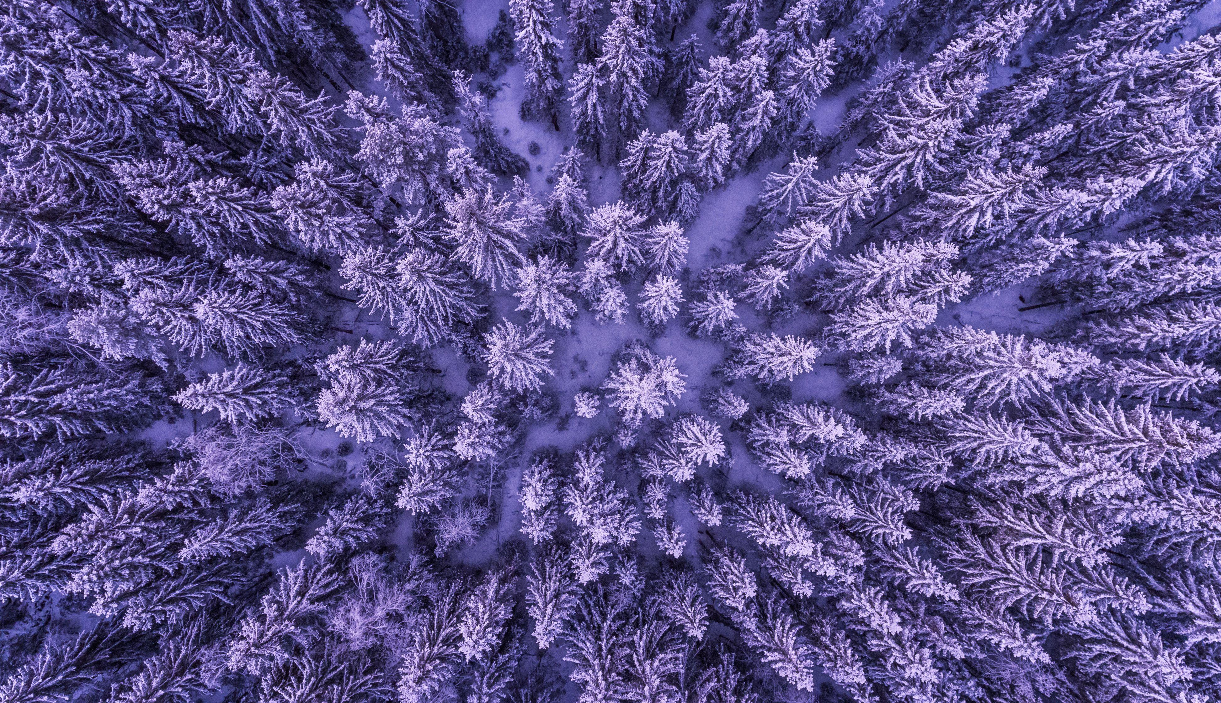 3892x2242 Full Frame Shot of Leaves · Free