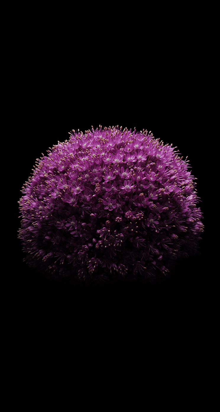 744x1392 Download IOS 8 Wallpaper For IPhone5 5s 5c And IPod Touch 5th Gen