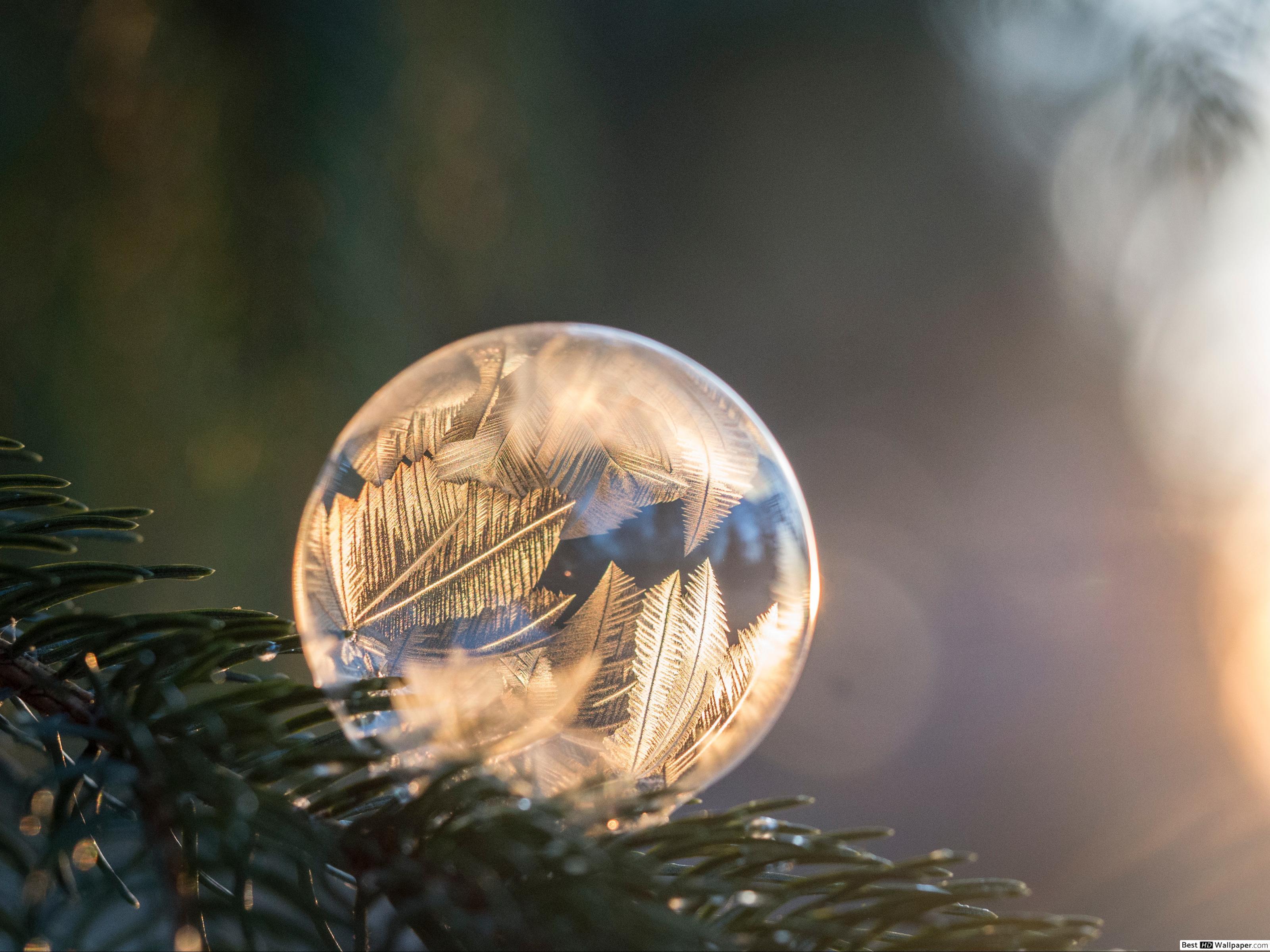 3200x2400 Frozen Bubble and leaf reflection HD wallpaper download