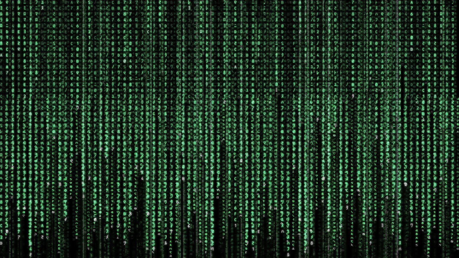 1920x1080 The Matrix Wallpaper HD