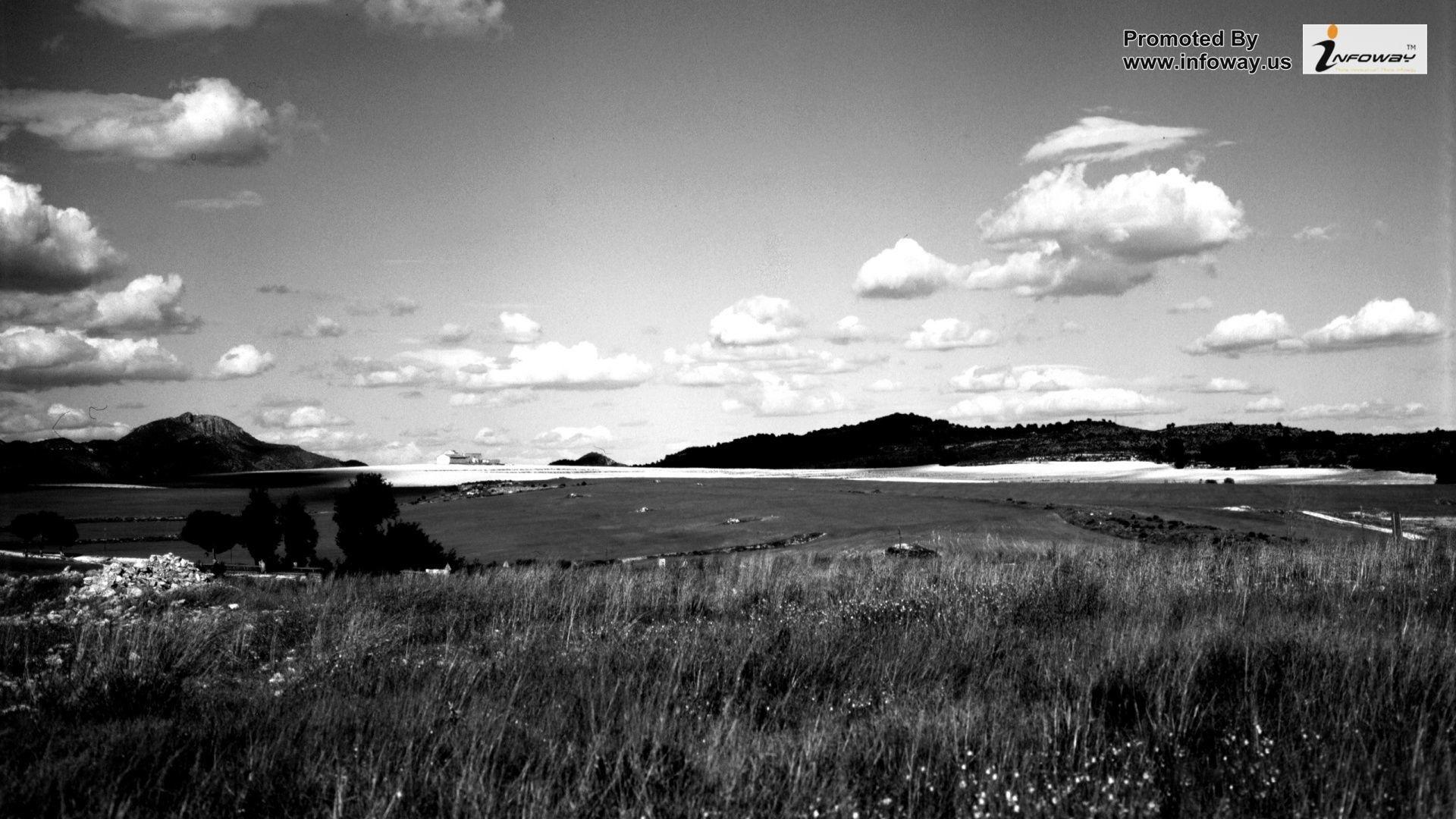 1920x1080 Black and White Nature