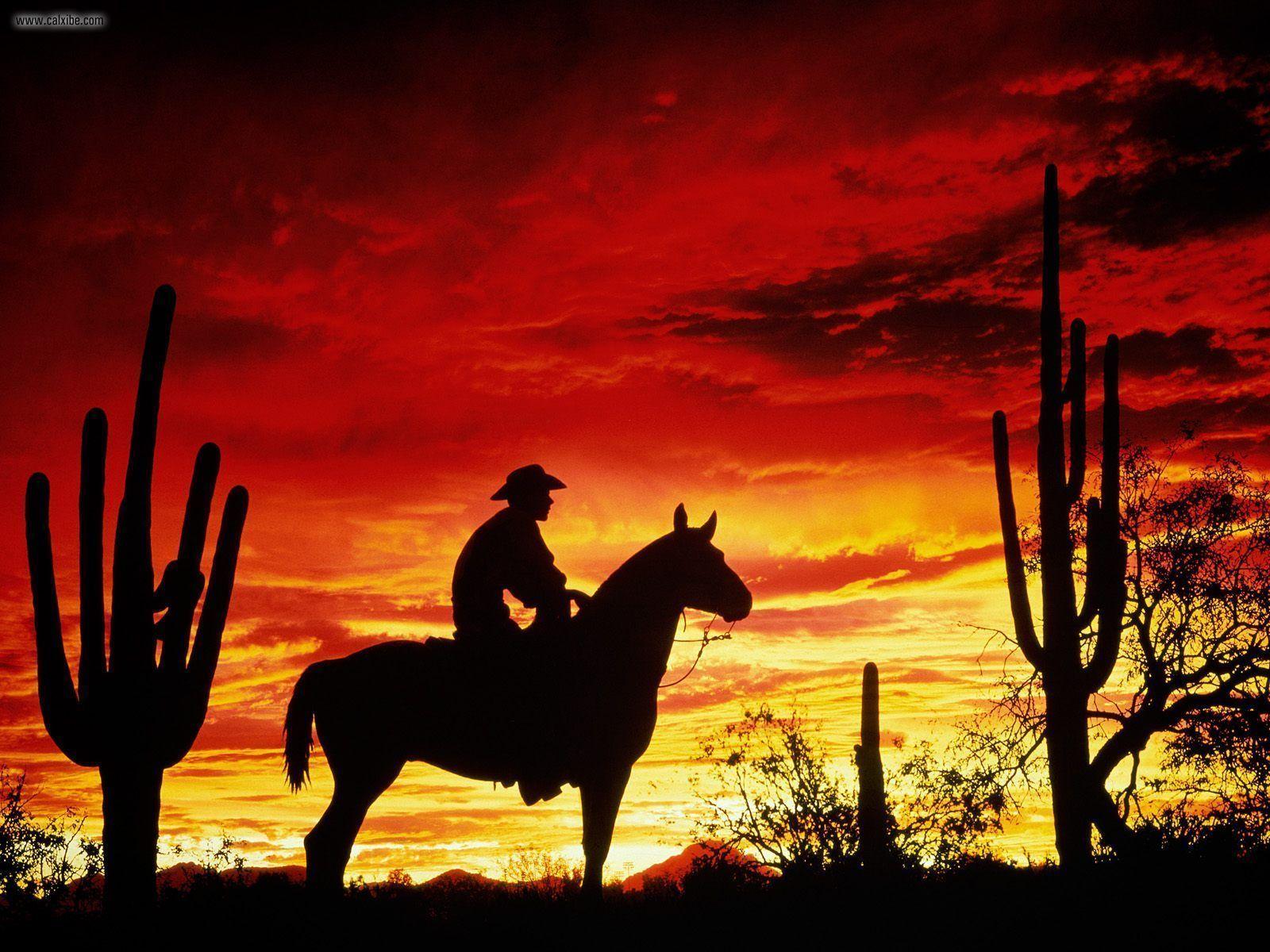 1600x1200 Free download Hot Cowboy Background [1600x1200] for your Desktop, Mobile & Tablet. Explore Cowboy Desktop Wallpaper. Dallas Cowboys Wallpaper Free Western Wallpaper for Desktop, Dallas Cowboys Windows 7 Wallpaper