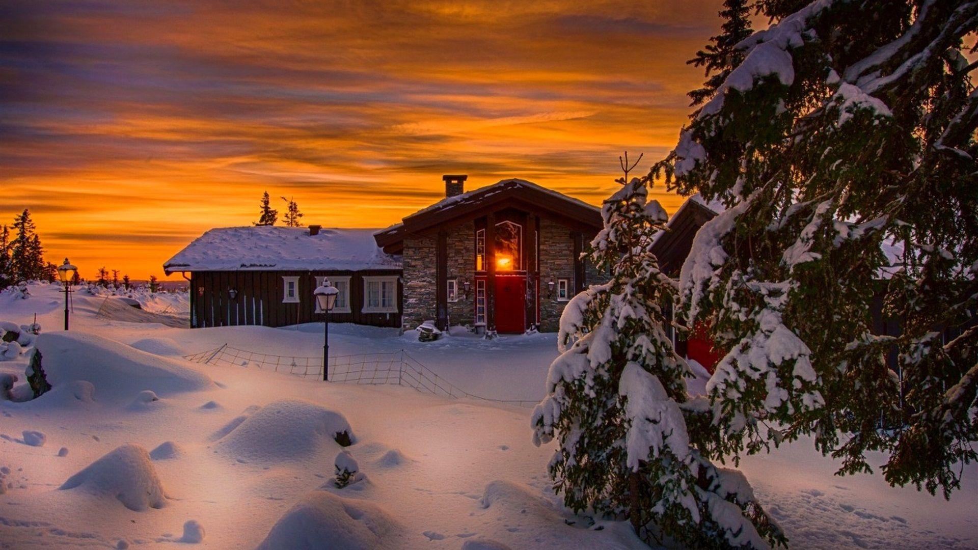 1920x1080 Wallpaper Winter, snow, cold, night, house, lights, trees 1920x1200 HD Picture, Image