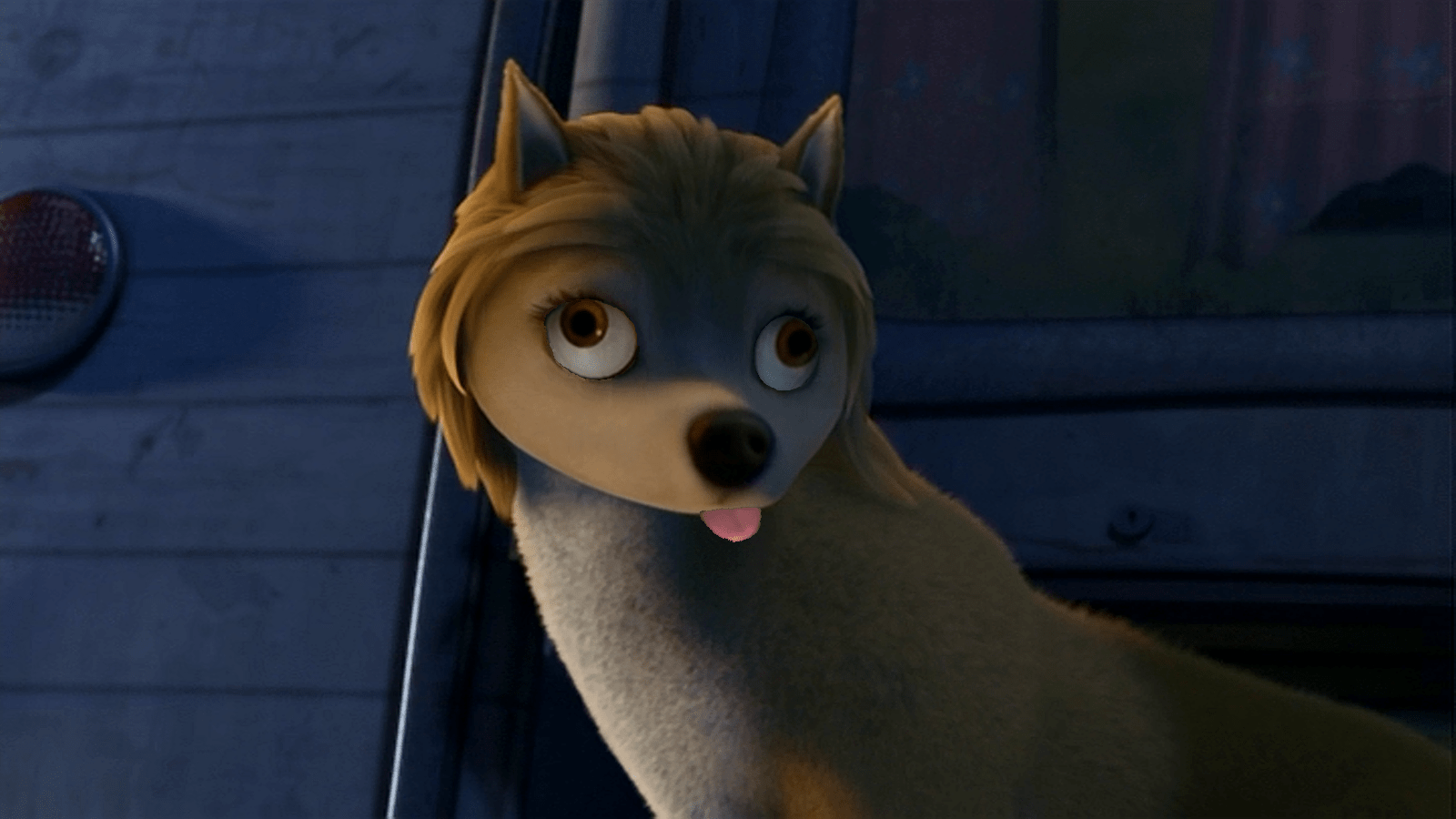 1600x900 A Lady E O Lobo Image Kate Derp Face HD Wallpaper Angry Alpha And Omega, Download Wallpaper