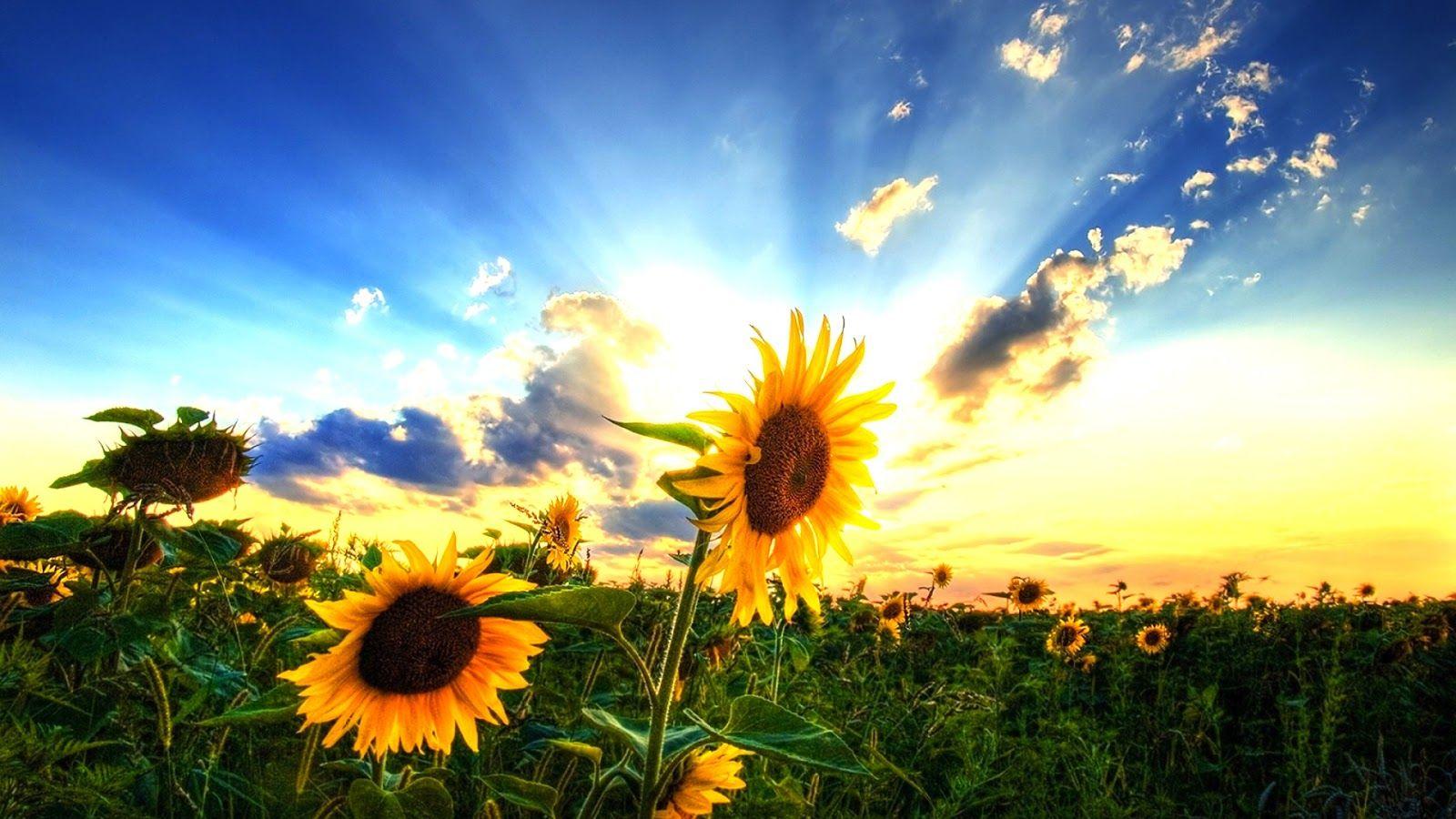 1600x900 Foreign Country Desktop Background. Beautiful Widescreen Desktop Wallpaper, Desktop Wallpaper and Naruto Desktop Background